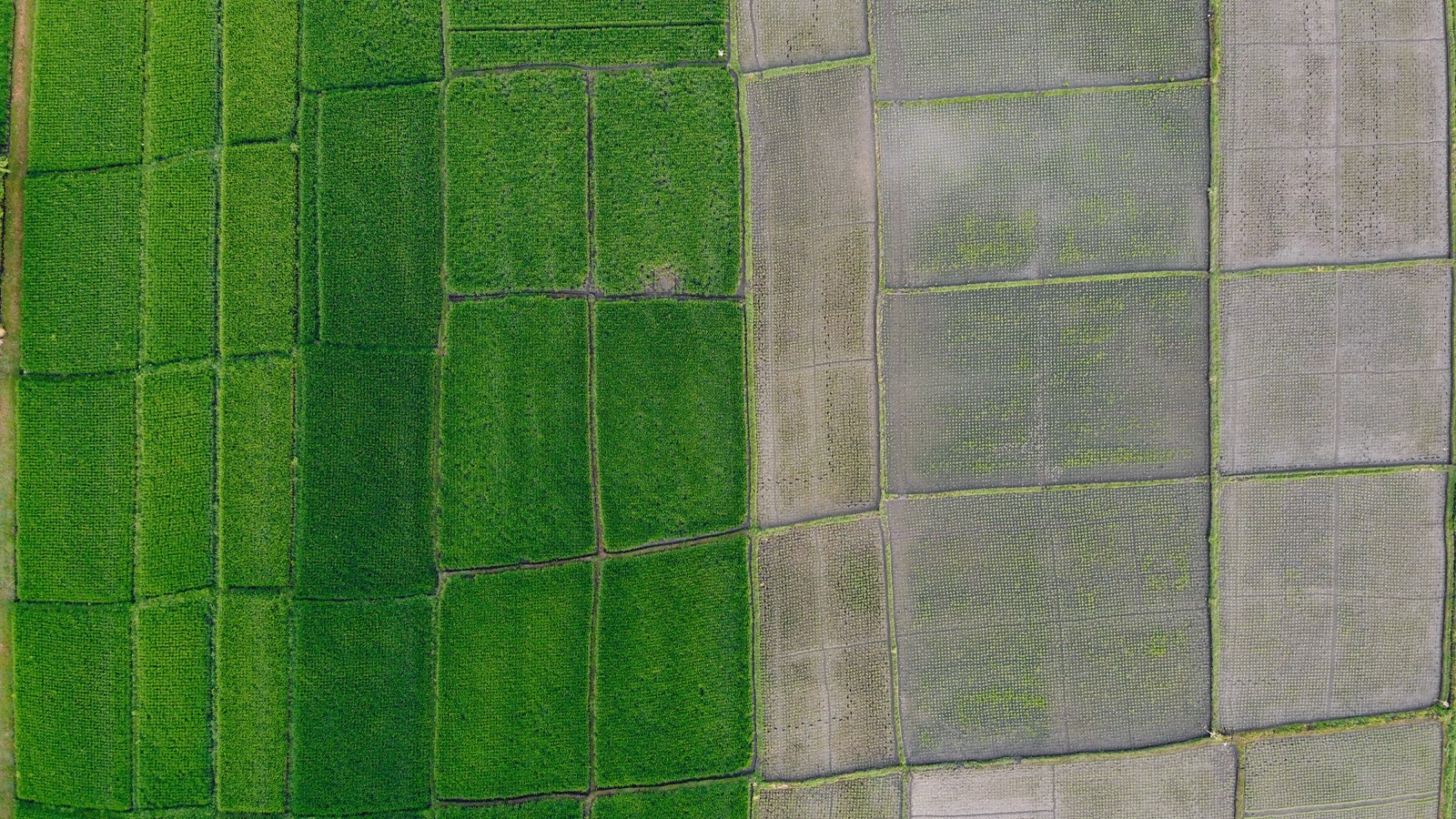 Aérea · mosaico de lotes 16:9